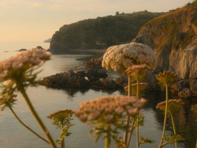 14-les-criques-de-porteil-carousselle-mer 14-les-criques-de-porteil-carousselle-mer